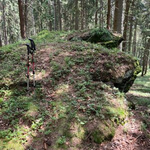 Radka D na vrcholu Oslí vrch J (28.6.2024 13:23)