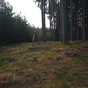 VěrkaN na vrcholu Háj (26.11.2022 10:02)