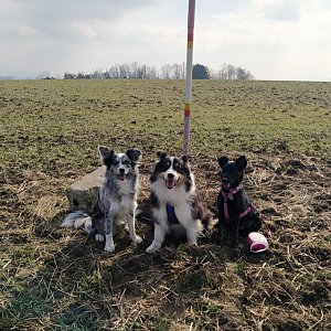 If Cassidyova na vrcholu Kobylí hlava (4.3.2023 13:04)