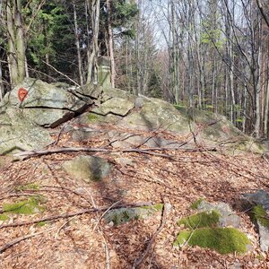 Horalka Anička on the summit of Hřeben (13.4.2024)