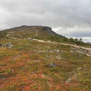 Martin Matějka on the summit of Saana (3.9.2025 11:01)
