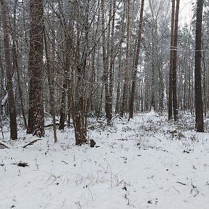 Cyklista 73 on the summit of Tušovický vrch (19.12.2022 13:37)