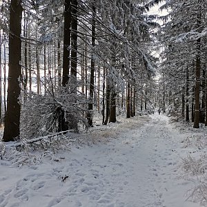 Markéta Maki Peterová na vrcholu Ostrý (12.1.2021 13:12)
