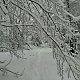 Zdeňka Máchová na vrcholu Ostrý (28.1.2021 13:04)