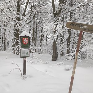 Ostrý