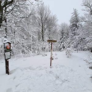 Frydrysi na vrcholu Ostrý (30.1.2021 13:16)