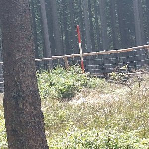 Cyklista 73 na vrcholu Výška (22.4.2023 11:16)