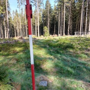 Mykas na vrcholu Výška (29.4.2024 16:29)