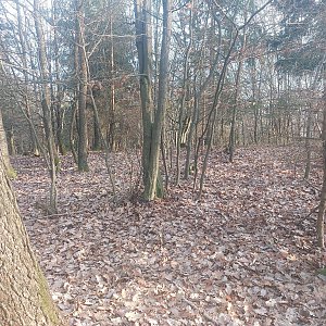 Cyklista 73 na vrcholu Březiny (30.12.2022 14:52)