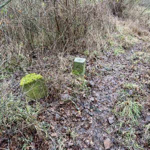 TeKilla na vrcholu Nad Pláží (8.2.2026 11:32)
