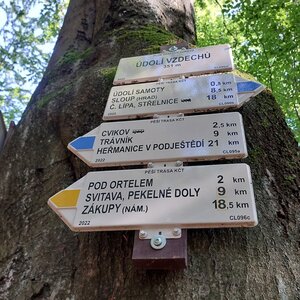Mykas na vrcholu Panenská skála (27.8.2024 17:37)