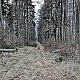 Tomáš Kupsa na vrcholu Strážný (29.11.2020 9:04)