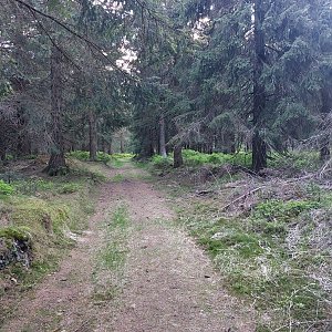 Cyklista 73 na vrcholu Macecha (21.5.2022 20:21)