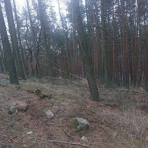 Benešovská pahorkatina