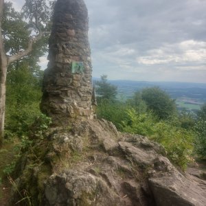 Cyklista 73 on the summit of Tannenriegel (12.8.2023 17:36)