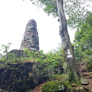 Horalka Anička on the summit of Tannenriegel (17.7.2024 11:23)