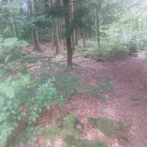 Cyklista 73 on the summit of Gibacht (12.8.2023 17:12)
