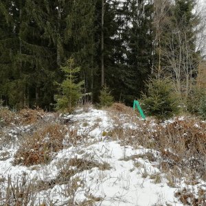 Vladimír Grančay on the summit of Hřib (31.12.2025 13:48)