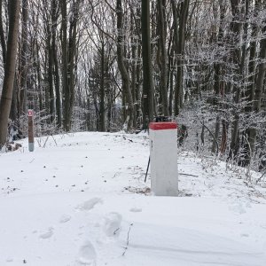 Milda na vrcholu Cígeľka (2.1.2026 11:05)