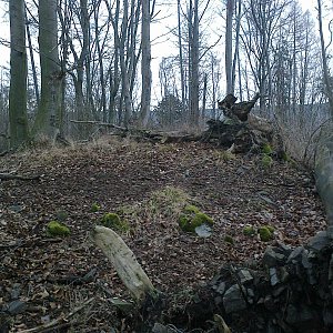 Fin on the summit of Borovina (18.1.2023 20:55)