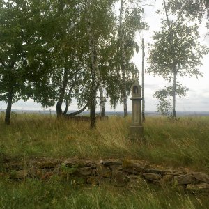 Fin on the summit of Babka (23.8.2025 10:59)