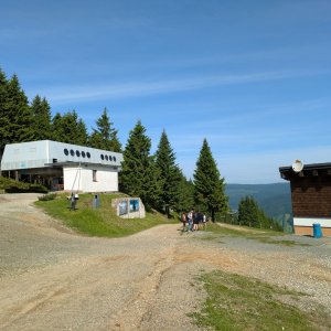 krupjan na vrcholu Černava (18.6.2025 9:29)