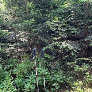 Radka D on the summit of Na skalce J2 (20.6.2025 10:55)