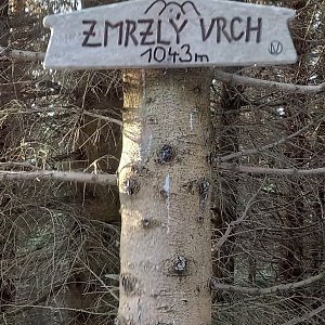 Ondra na vrcholu Zmrzlý vrch (16.1.2022 15:10)