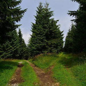 lubob na vrcholu Zmrzlý vrch (26.7.2016 11:15)