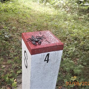 PA!WELL na vrcholu Malý Javorník (7.8.2022 15:10)