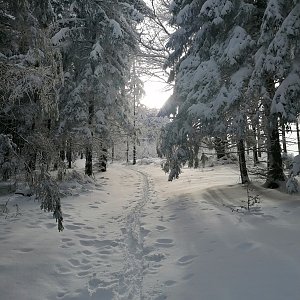 Michaela Hilscherová na vrcholu Kotlová (15.1.2021 12:43)
