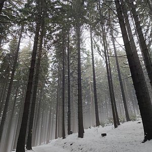 Hostýnsko-vsetínská hornatina