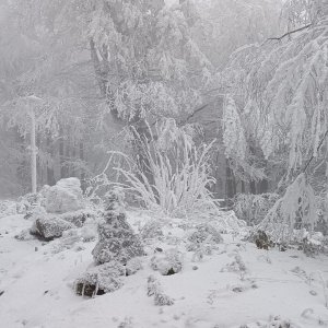 Milda on the summit of Fedorkov (2.1.2025 14:41)