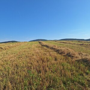Cyklista 73 on the summit of Lázek (27.7.2024 8:10)