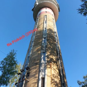 Mykas na vrcholu Na Pískách (23.8.2023 17:55)