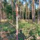Mykas na vrcholu Na Pískách (23.8.2023)