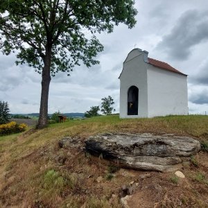 Mykas na vrcholu U Kaple (3.6.2025 11:58)