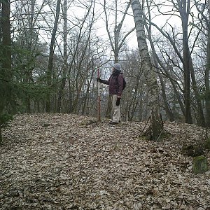Fin on the summit of Strážnice (11.2.2023 11:03)