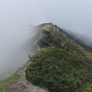 p_e_t_r_95 na vrcholu Prostredná veža Malého Kriváňa (18.5.2024 10:32)