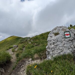 krupjan na vrcholu Prostredná veža Malého Kriváňa (25.6.2024 11:11)
