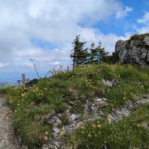 krupjan na vrcholu Horná veža Malého Kriváňa (25.6.2024 11:14)