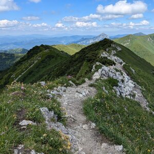 krupjan na vrcholu Horná veža Malého Kriváňa (25.6.2024 14:22)