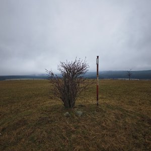 michalzhor on the summit of Hořenská (4.4.2026 13:19)