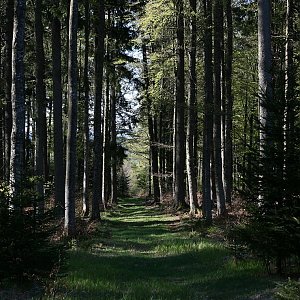 Bouřka na vrcholu Bukovec (7.5.2020 8:03)