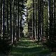 Bouřka na vrcholu Bukovec (7.5.2020 8:03)