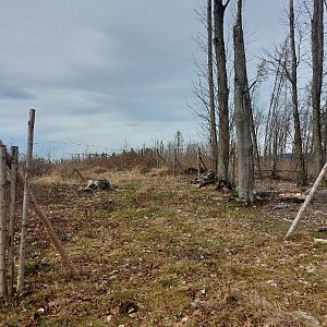 Cyklista 73 on the summit of Vrch (20.2.2023 13:13)