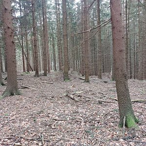 Cyklista 73 na vrcholu Bukový kopec  (21.2.2023 8:17)