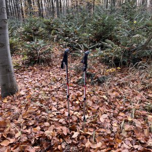 Radka D na vrcholu Paverák (17.11.2023 14:09)