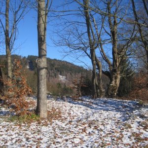 ZdenkaV on the summit of Černý kopec (22.11.2025 13:10)