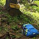 Jiřina na vrcholu Skalka (na Pustevnách) (6.6.2021 11:00)